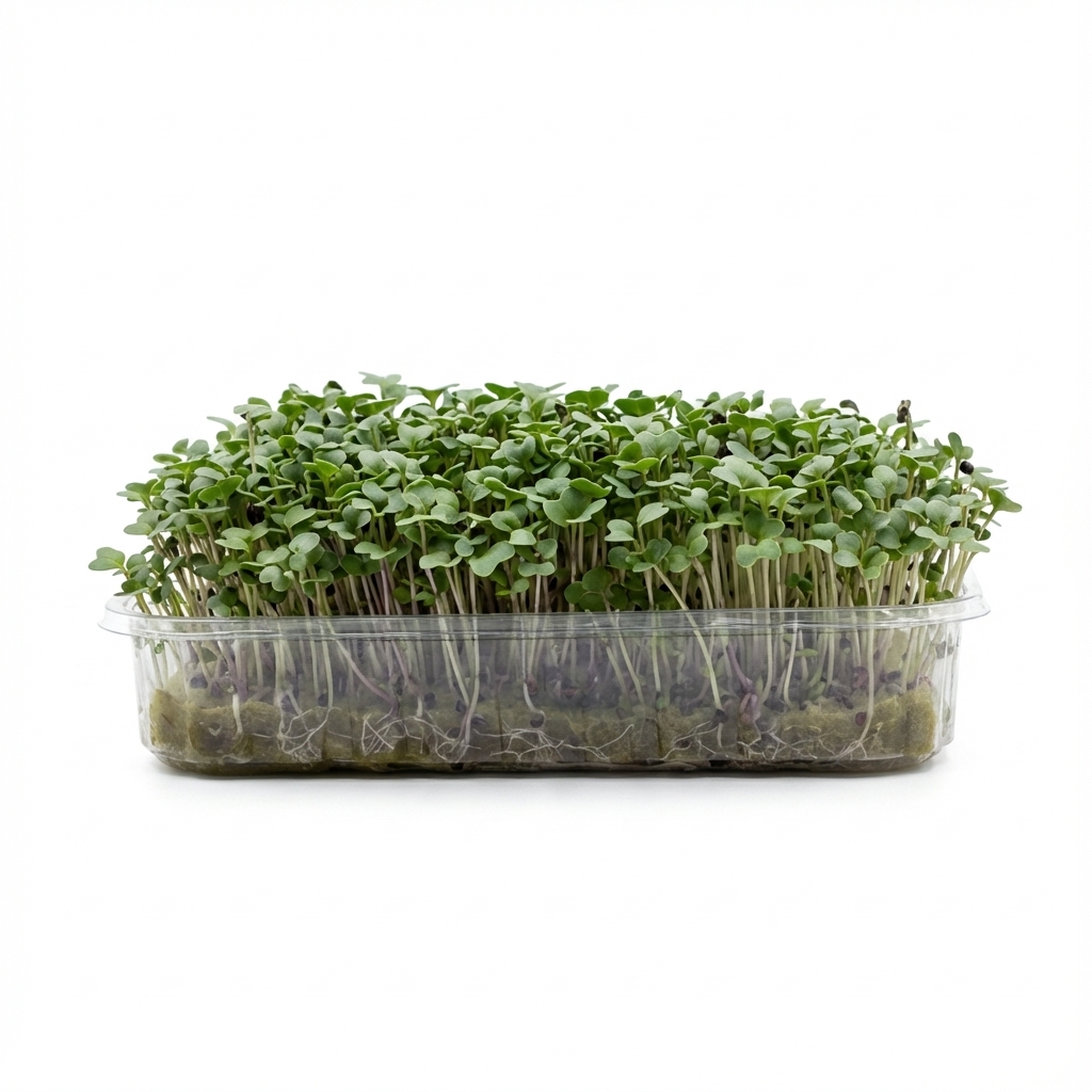 Мікрогрін Броколі "Калабрезе"